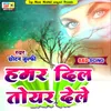 About Hamar Dil Toyar Dela Song